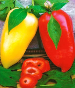 Насіння перцю Айвенго, фото 1