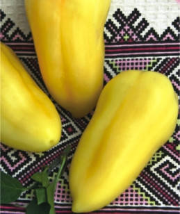 Насіння перцю Альба, фото 1