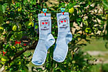 Блакитні котонові шкарпетки 35-41 ORIGINAL з написом СОХНУ ЗА ТОБОЮ, фото 3