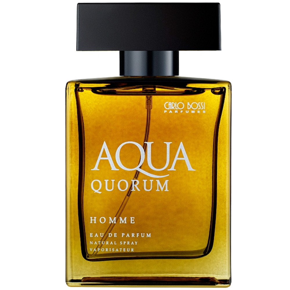 Парфюмерная вода для мужчин Carlo Bossi Aqua Quorum 100 мл (01020204302) - фото 2 - id-p200750106