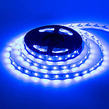 LED стрічка SMD 2835/60 синя 12V (IP20) Blue