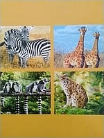 Зошит загальний, 60 аркушів, клітинка, тВ.обкладинка