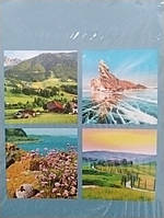 Зошит загальний, 60 аркушів, лінія, тв.обкладинка