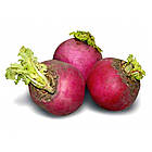 Eco-semena. Насіння редька Червоне зимове, 10 г, фото 5