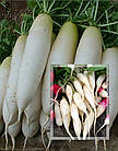 GI SEEDS. Насіння редис Крижане сусулька, 15 г, фото 3