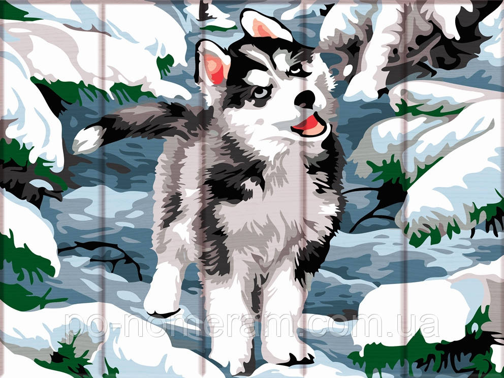 Акційна Полотно для малювання ArtStory Маленький хаскі (ASW138) 30 х 40 см, фото 1