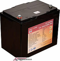 Аккумуляторная батарея LogicPower LP LiFePO4 12V - 100 Ah (BMS 50A)