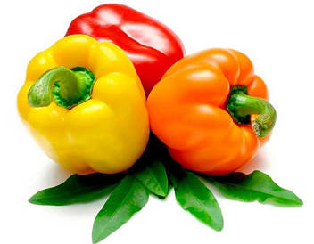 Насіння перцю