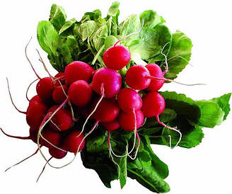 Насіння редиски, редьки, ріпи