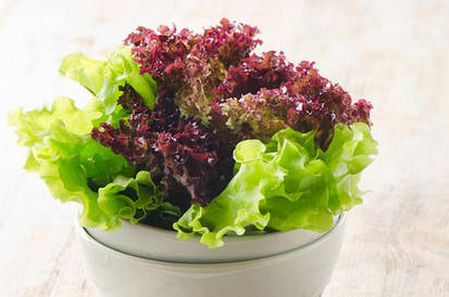 Насіння салатів, щавлю, шпинату і т.д.