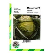 Мегатон F1 насіння капусти, 100 насіння — білокочане, середньо-здня, Bejo