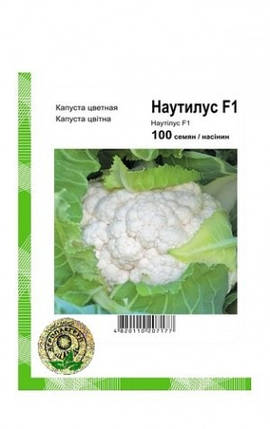 Наутилус F1 насіння капусти, 100 насіння — кольорове, середньоспече, Clause, фото 1