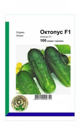 Октопус F1 насіння огірка, 100 насінин — бджолозапильний, ранній, Syngenta, фото 2