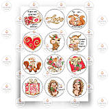 Друк їстівного фото - Вафельна папір - Чоловікам №9, фото 3