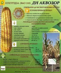 Насіння Кукурудзи ДН АКВАЗОР (ФАО 320) 2020р.у (23,1кг)