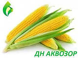 Насіння Кукурудзи ДН АКВАЗОР (ФАО 320) 2020р.у (23,1кг), фото 4