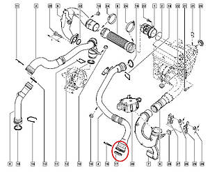 Renault (Original) 7701068601 — Ущільнювальне кільце лівого патрубка (до інтеркулера) на Рено Меган 3, фото 3