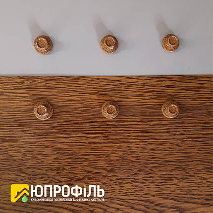 Саморізи Золотий Дуб для профнастилу під дерево 4.8х19 по металу, фото 2