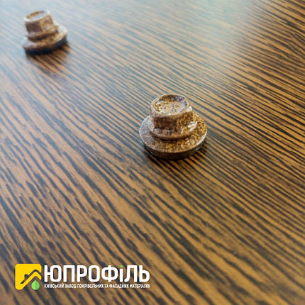 Саморізи Золотий Дуб для профнастилу під дерево 4.8х19 по металу, фото 2