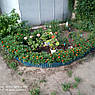 Бордюрна стрічка садова 25 см х 9 м хвиляста зелена Bradas, фото 4