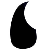 Пікгард панель Alice A025A Black(W)