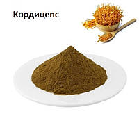 Кордицепс Cordyceps Экстракт Порошок 1кг