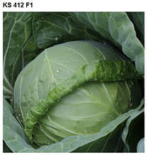 KS 412 F1 1000 шт Kitano Seeds Капуста Білокочанна Насіння (Капуста Білокачанна Насіння)