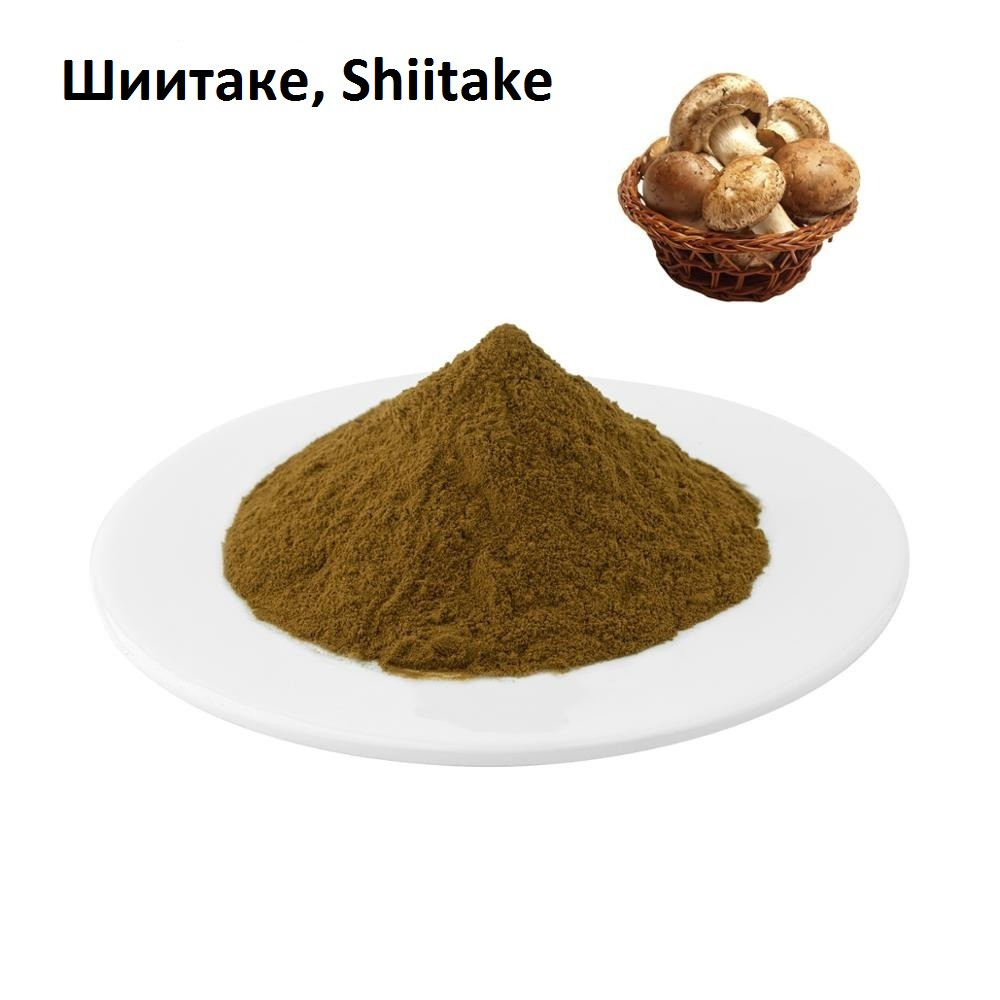 Шиітаке (Shiitake) Гриб, Екстракт міцелію, Порошок