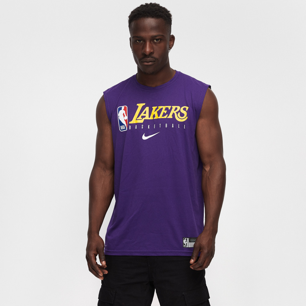 Майка баскетбольна чоловіча Nike Los Angeles Lakers (AT0628-547)