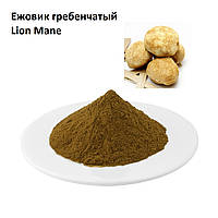 Ежовик гребенчатый, Lion Mane Экстракт Hericium Erinaceus, Гриб Гривы Льва Порошок 1 кг.