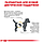 Royal Canin Urinary S/O Small Dog (Роял Канін Уринарі С/О Смол Дог) корм для собак до 10 кг для сечових шляхів, фото 4