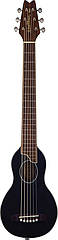 Акустична гітара WASHBURN ROVER 10 SBK (RO10SBK)