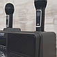 Портативна бездротова караоке колонка Bluetooth з двома мікрофонами SDRD - SD309, фото 4