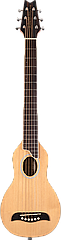 Акустична гітара WASHBURN ROVER 10 SK (RO10SK)