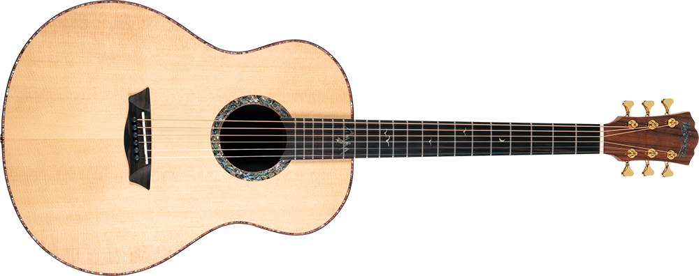 Акустична гітара WASHBURN BELLA TONO ELEGANTE S24S (BTS24S)