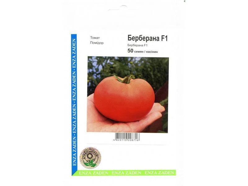 Насіння томату Берберана F1, 50 сем — ранній (63-68 дн), червоний, напівдетермінантний, круглий, Syngenta