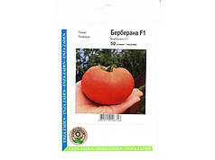 Насіння томату Берберана F1, 50 сем — ранній (63-68 дн), червоний, напівдетермінантний, круглий, Syngenta