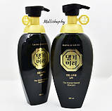Відновлювальний шампунь Daeng Gi Meo Ri The Oriental Special Shampoo, фото 3