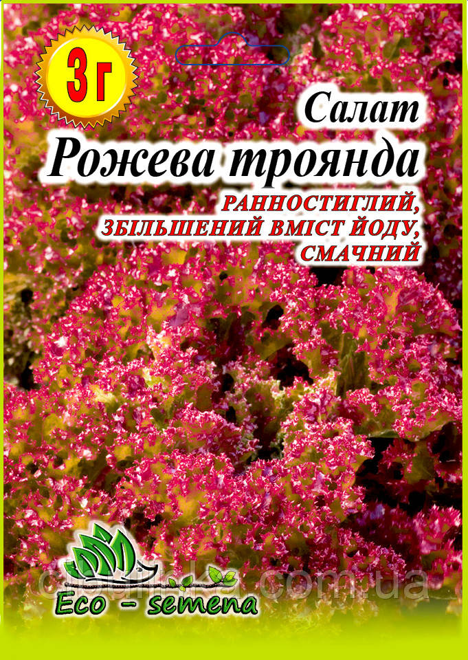 Eco-semena. Насіння Салат Рожева троянда, 3 г, фото 1