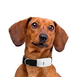 GPS трекер для собак, тварин. GPS нашийник .