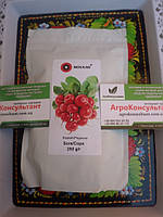 Насіння редису Сора (Minami), 250 г — ранній (20-22 дні), сортовий, всесезонний, круглий, темно-червоний.