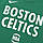 Футболка баскетбольна чоловіча Nike DRY TEE Boston Celtics Logo розмір XL (CT9438-312)), фото 6