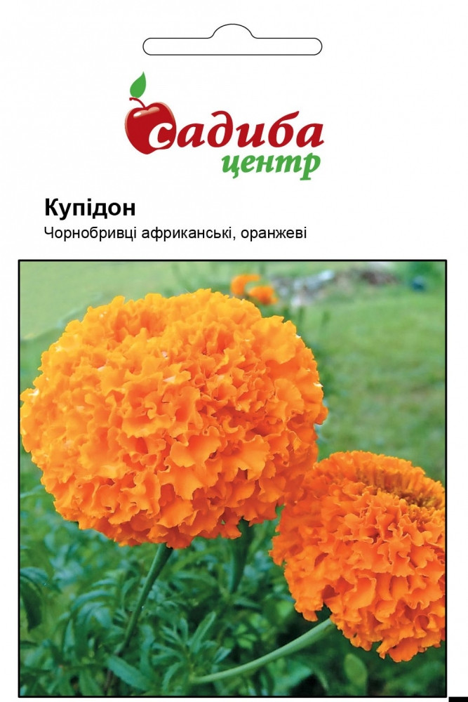 Чорнобривці Купідон оранжеві насіння  (Hem Zaden) 0.2г