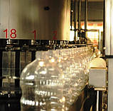 Лінії розливу  олії карусельного типу від виробника, фото 5