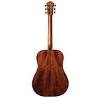 Акустична гітара WASHBURN APPRENTICE D5 (AD5), фото 3
