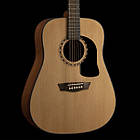 Акустична гітара WASHBURN APPRENTICE D5 (AD5), фото 4