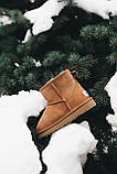 Дитячі зимові чоботи уггі UGG Classic Mini Suede Chestnut (Дитячі Угг Класик Міні замша каштан) 1016222, фото 10