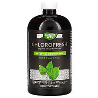 Хлорофилл мятный вкус / Chlorofresh, Liquid Chlorophyll, Mint Flavored, 132 mg, 473.2 ml, Nature's Way