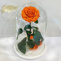 💜Помаранчева троянда в колбі Lerosh - Lux 33 см ORIGINAL біла підставка