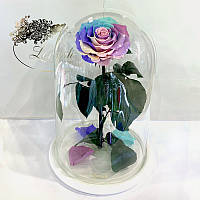 💚Ніжна Райдужна троянда в колбі Lerosh - Lux 33 см ORIGINAL біла підставка